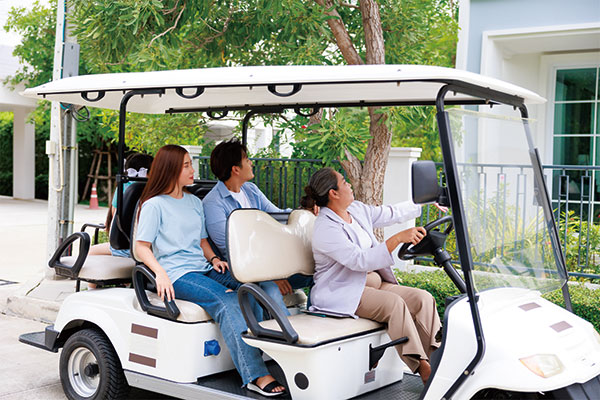 Street Legal Golf Carts & Electric Vehicles | Cost-effective Chinese suppliers