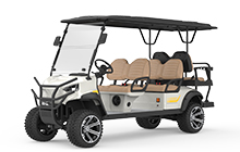 Lifted 6 Seater Golf Cart (RAL-4+2 or RAL-6)