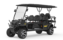 Lifted 8 Seater Golf Cart (RAL-6+2)