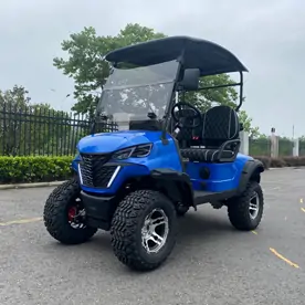 Lifted 2 Seater Golf Cart(RBL-2)