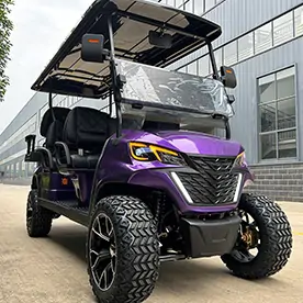 Lifted 8 Seater Golf Cart(RBL-6+2)