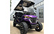 Lifted 8 Seater Golf Cart (RBL-6+2)